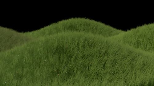 blender-cycles-rendering-grass.jpg