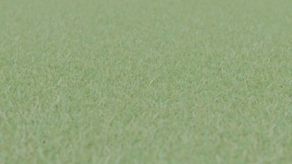 Blender Grass Architecture